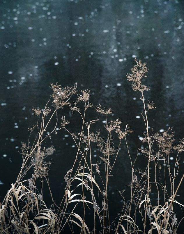 Галактика фото превью