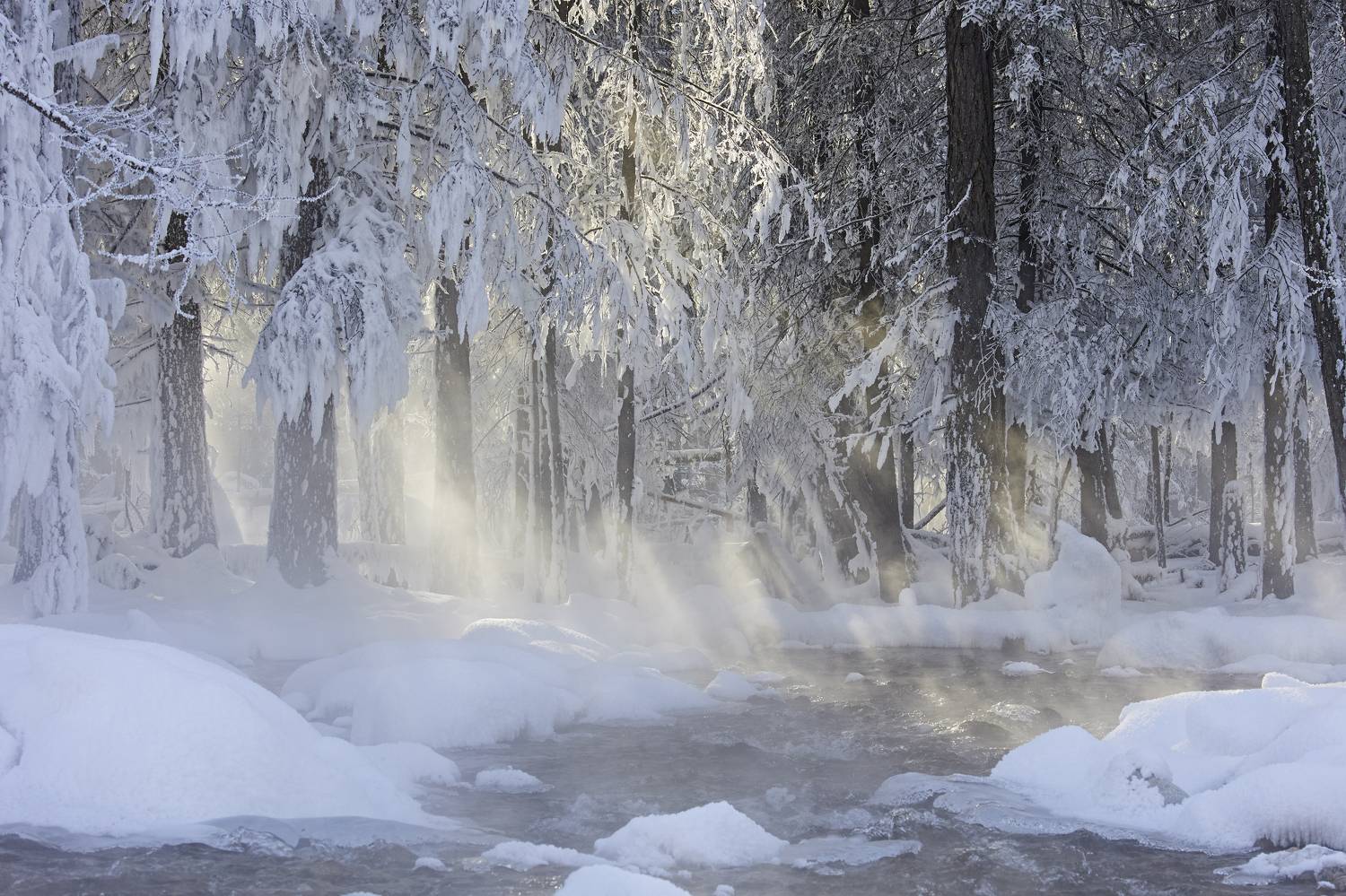 , Байбородин Михаил
