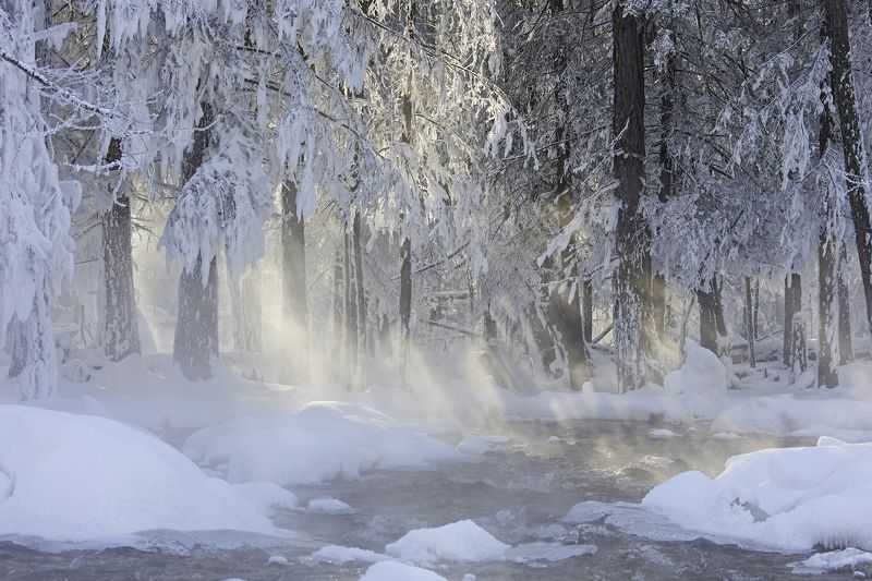 Утро туманное фото превью