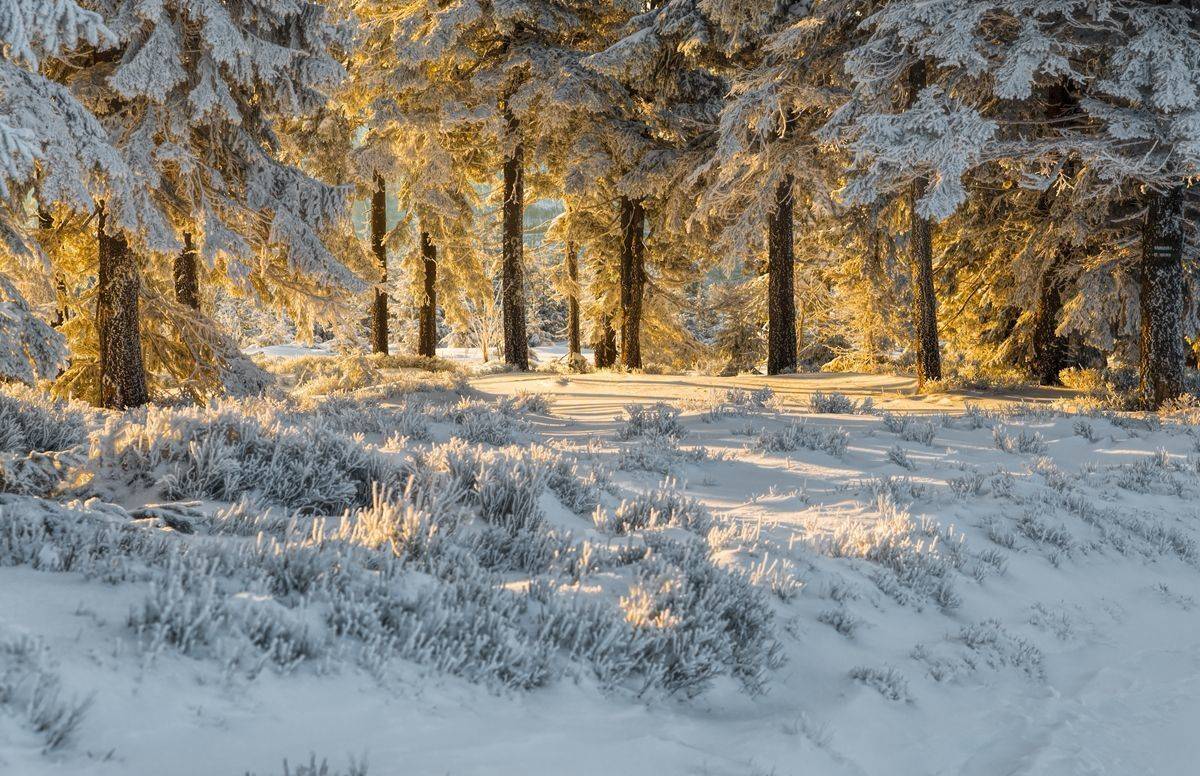 , Sławek Przybylski