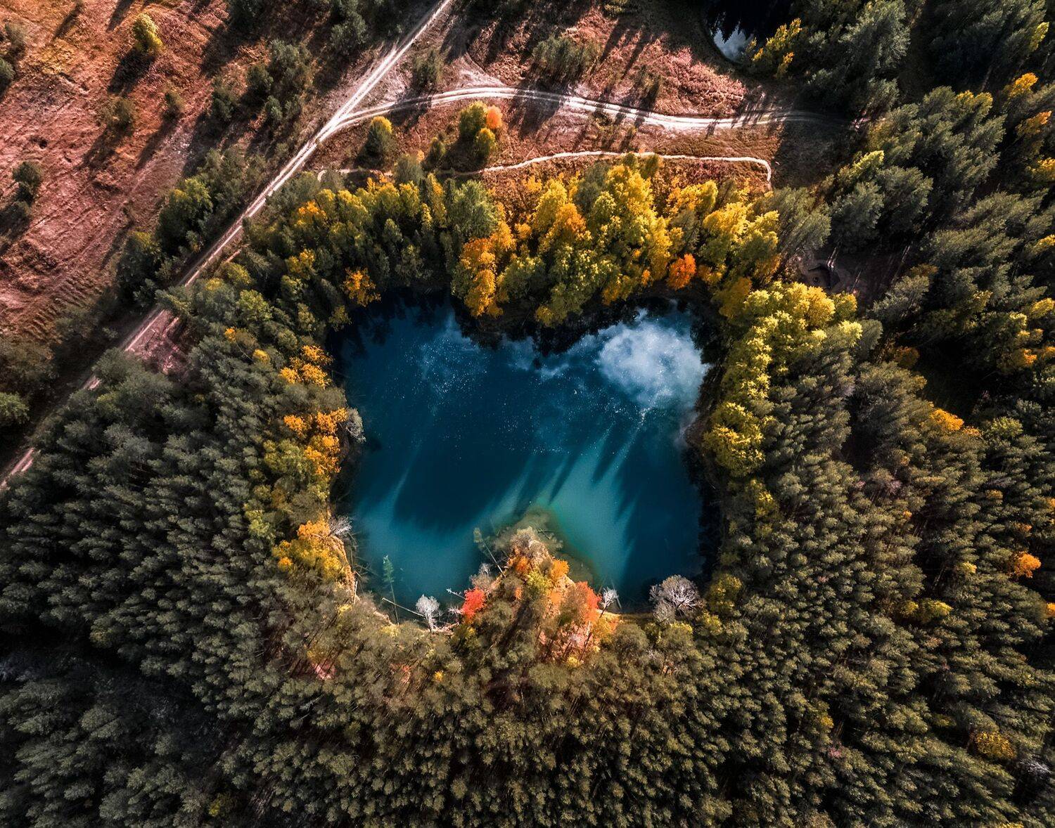 , Денис Гончаренко