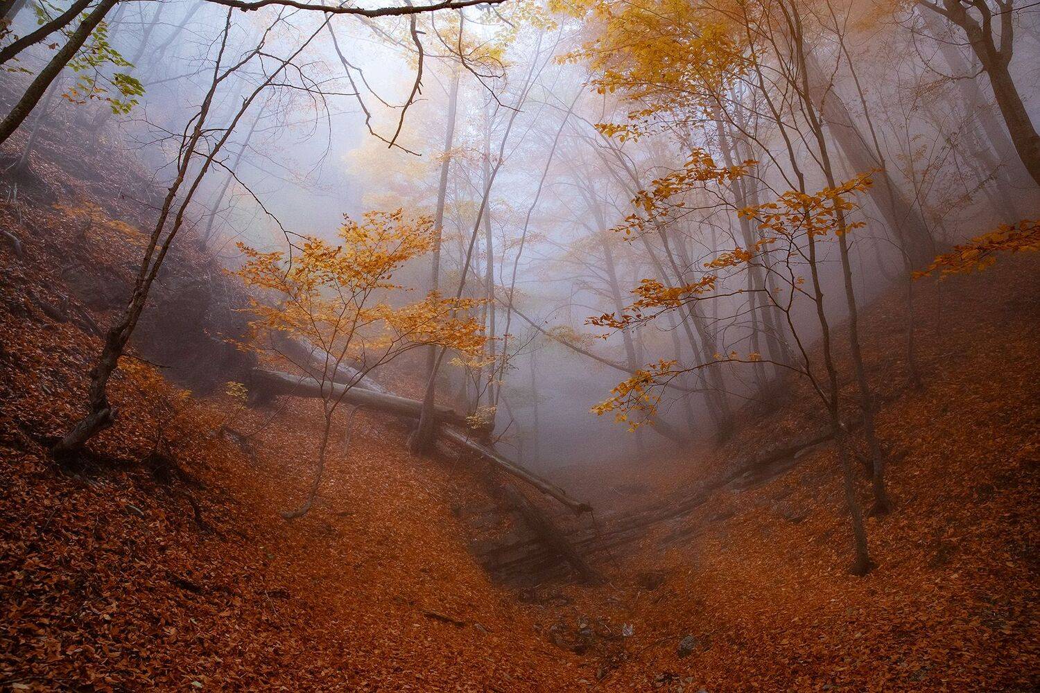 , Костенко Александр