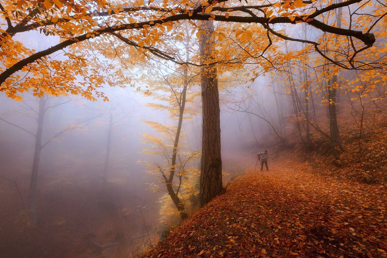 , Костенко Александр