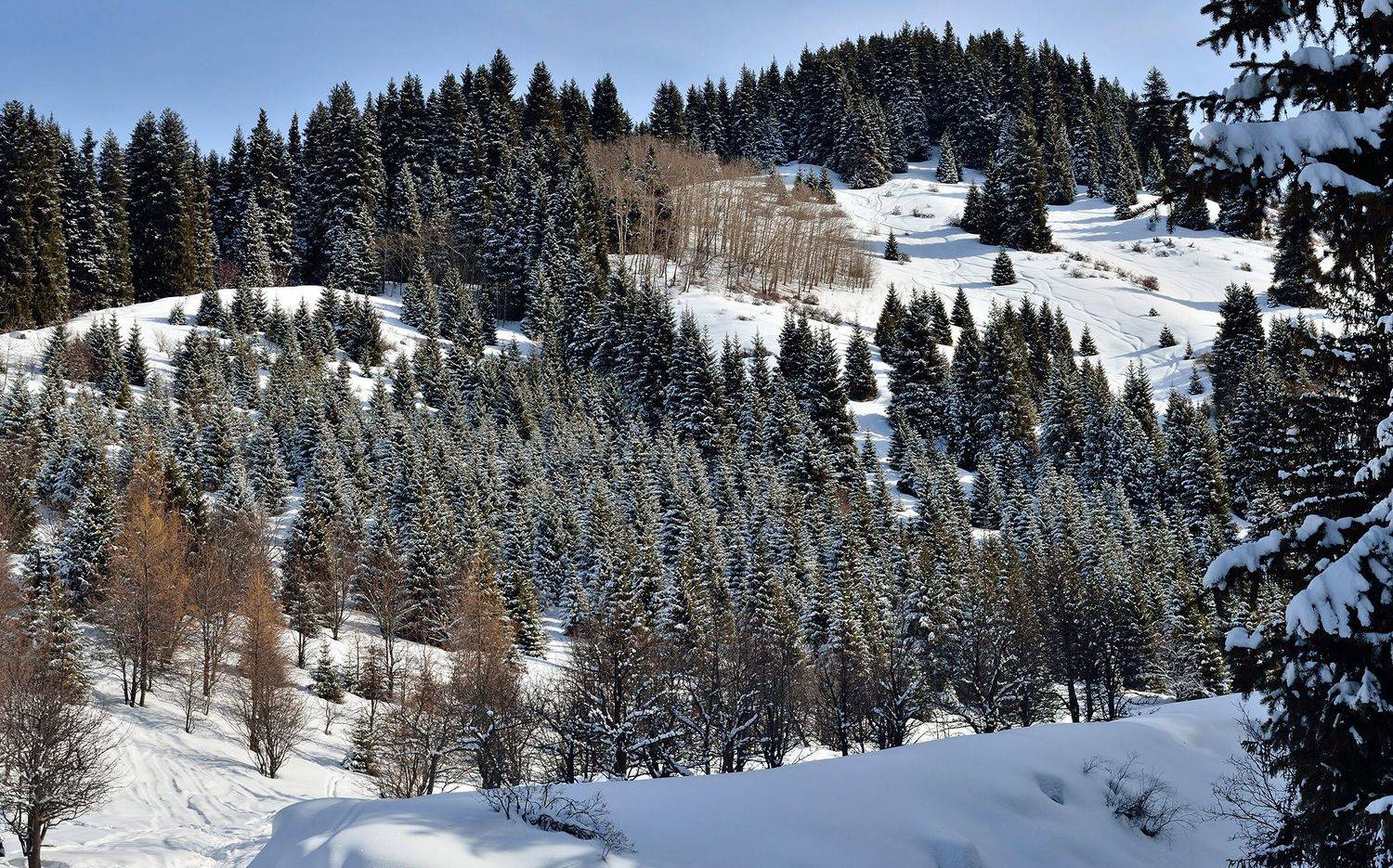 , Евгений Зинов