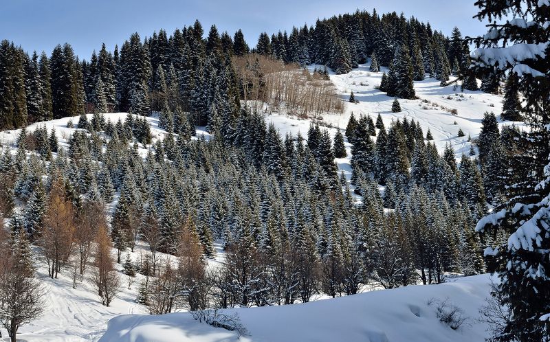 В ущелье р. Ким-Асар фото превью