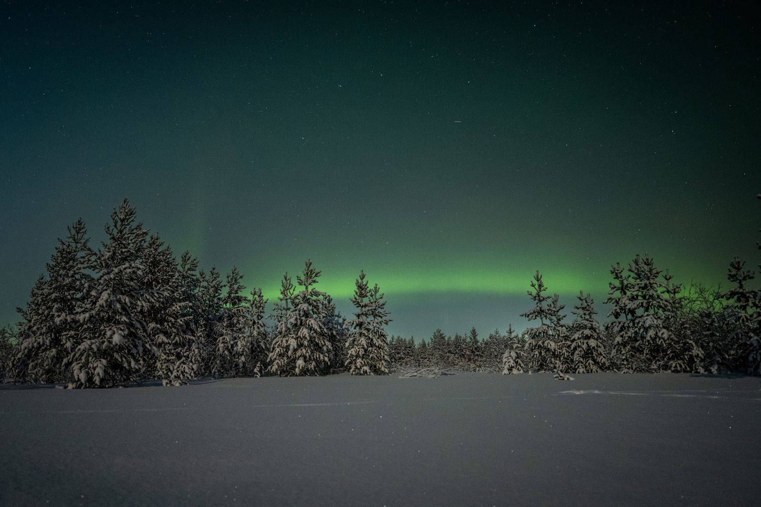 ямал, надым, небо, мороз, аврора, северносияние, живемнасевере, янао, никон, пейзаж, астрофото, Олег Сторожев