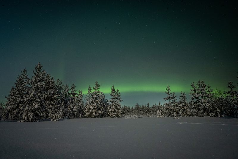 ямал, надым, небо, мороз, аврора, северносияние, живемнасевере, янао, никон, пейзаж, астрофото Аврора фото превью