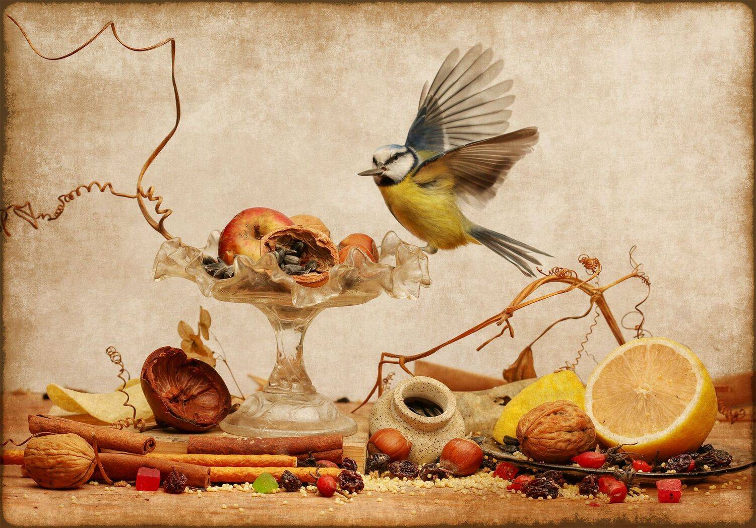 лазоревка, Хромушин Олег