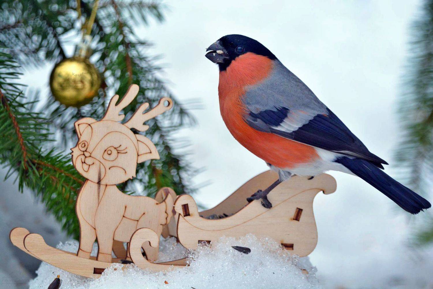 , Юлия Абрамова