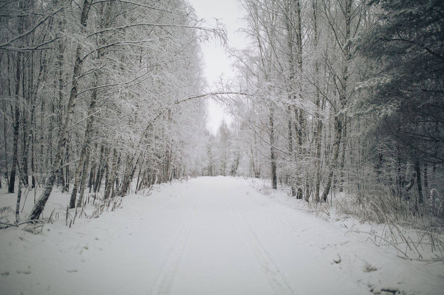 , Потёмкин Денис