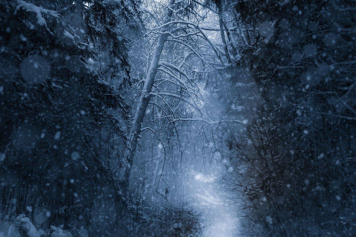 зима снегопад усть-нарва, Сергей Четвертной