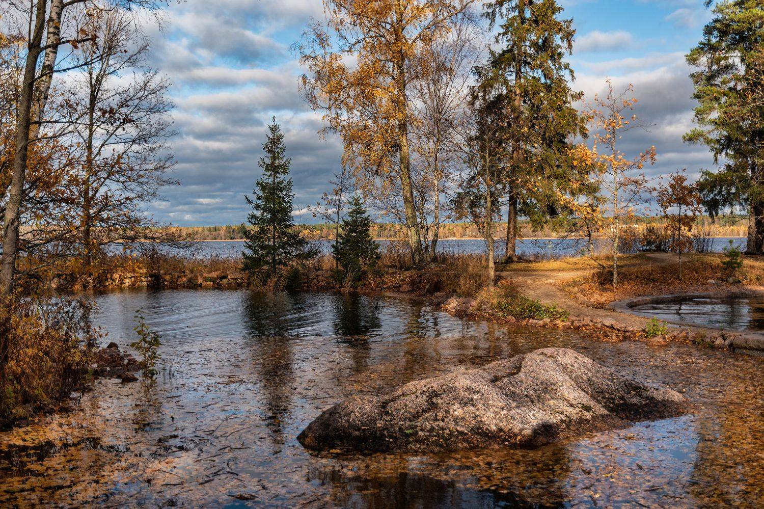 autumn landscape осень монрепо, Рохмистрова Мария