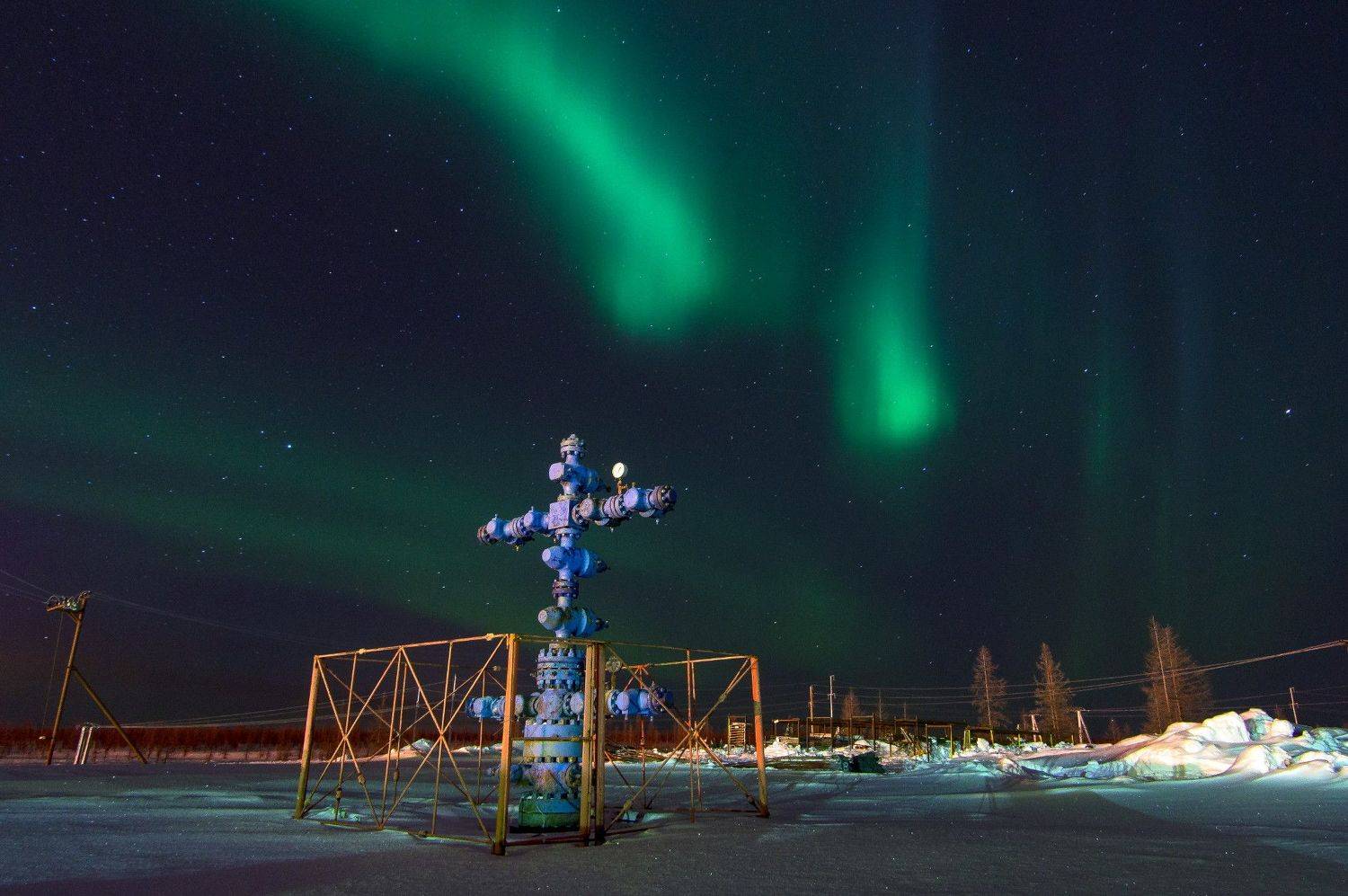 , Дмитрий Цыпляев