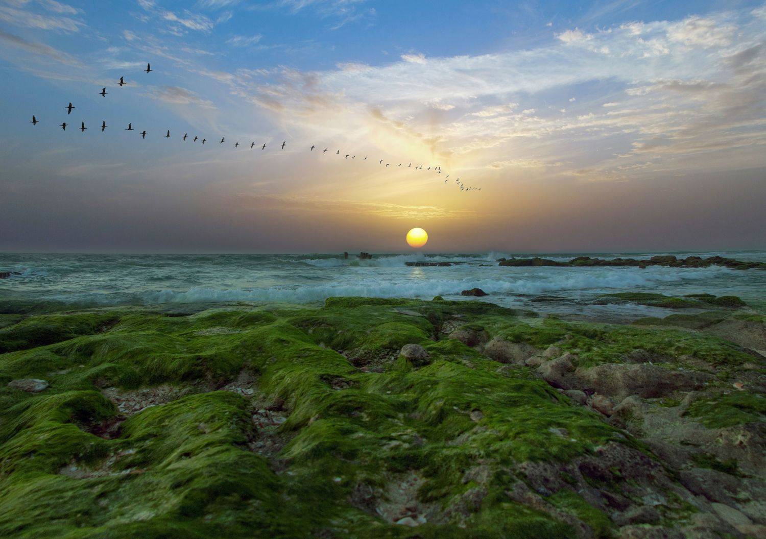 , Вадим Городницкий