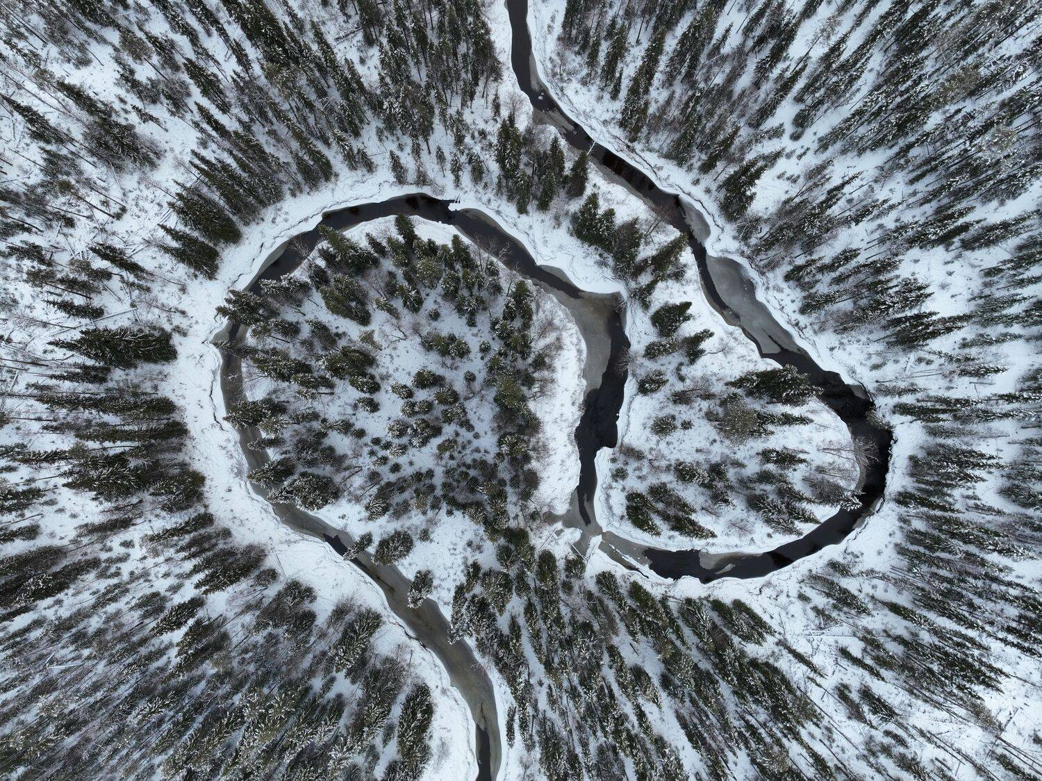 , Денис Гончаренко