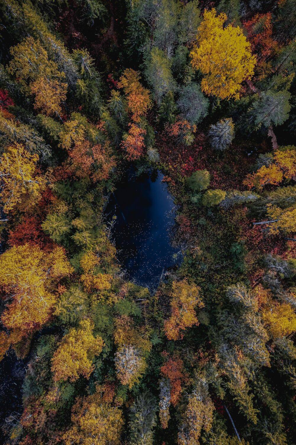 , Денис Гончаренко