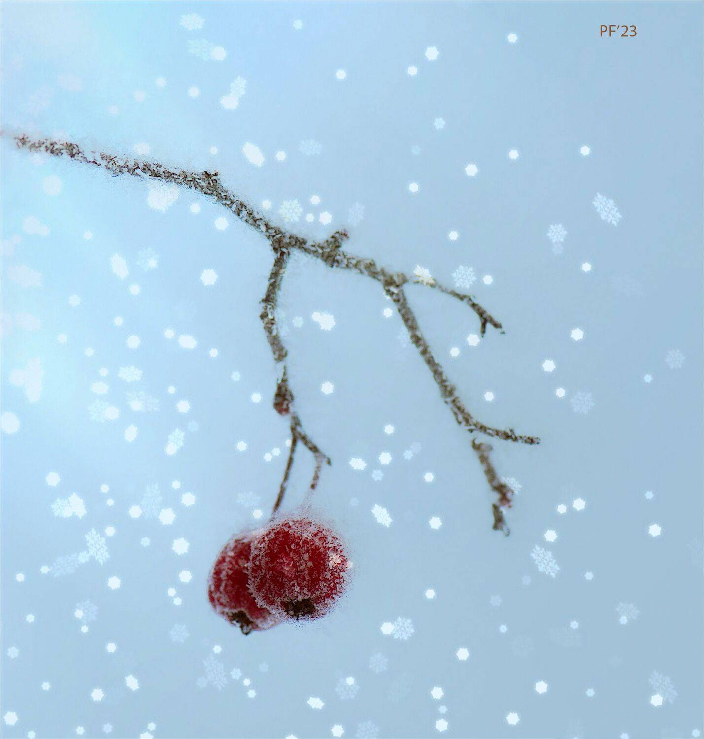 ветка ягоды снежинки, Вера Петри