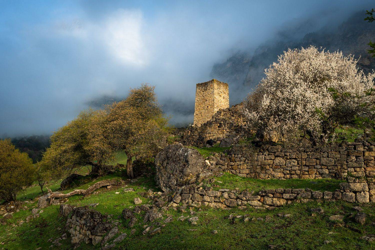 landscape, mountains, ingushetia, fort, green, field, пейзаж, кавказ, природа, горы, ингушетия, крепость, Maria Pochikaeva