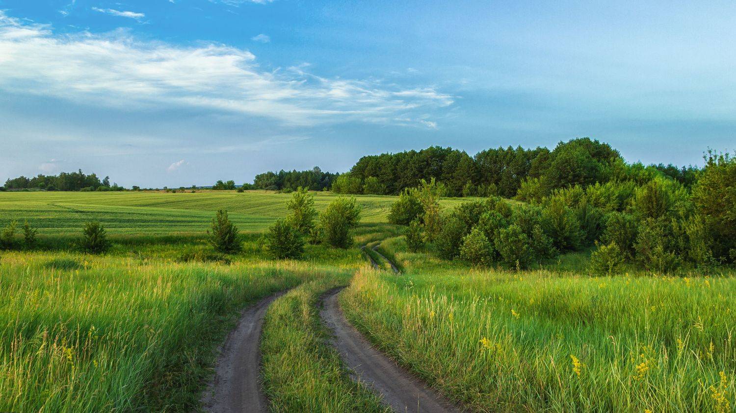 , Елисеев Александр