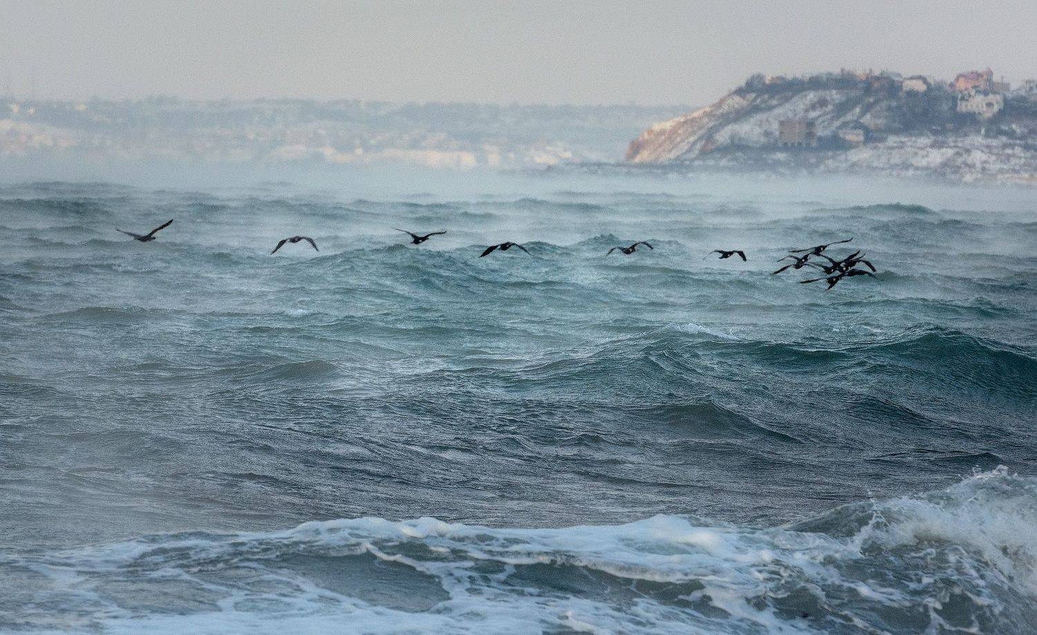 , Андрей Гусаченко