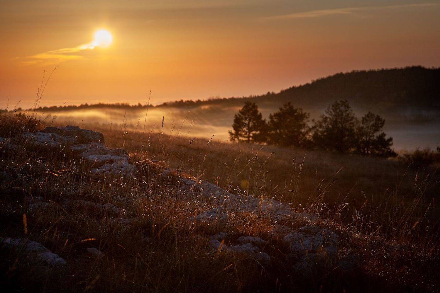 , Андрей Гусаченко