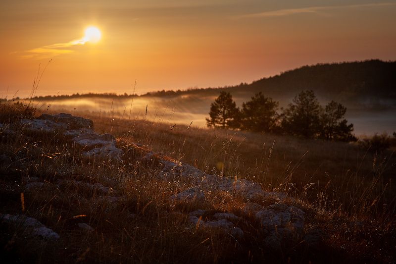 ожидание фото превью