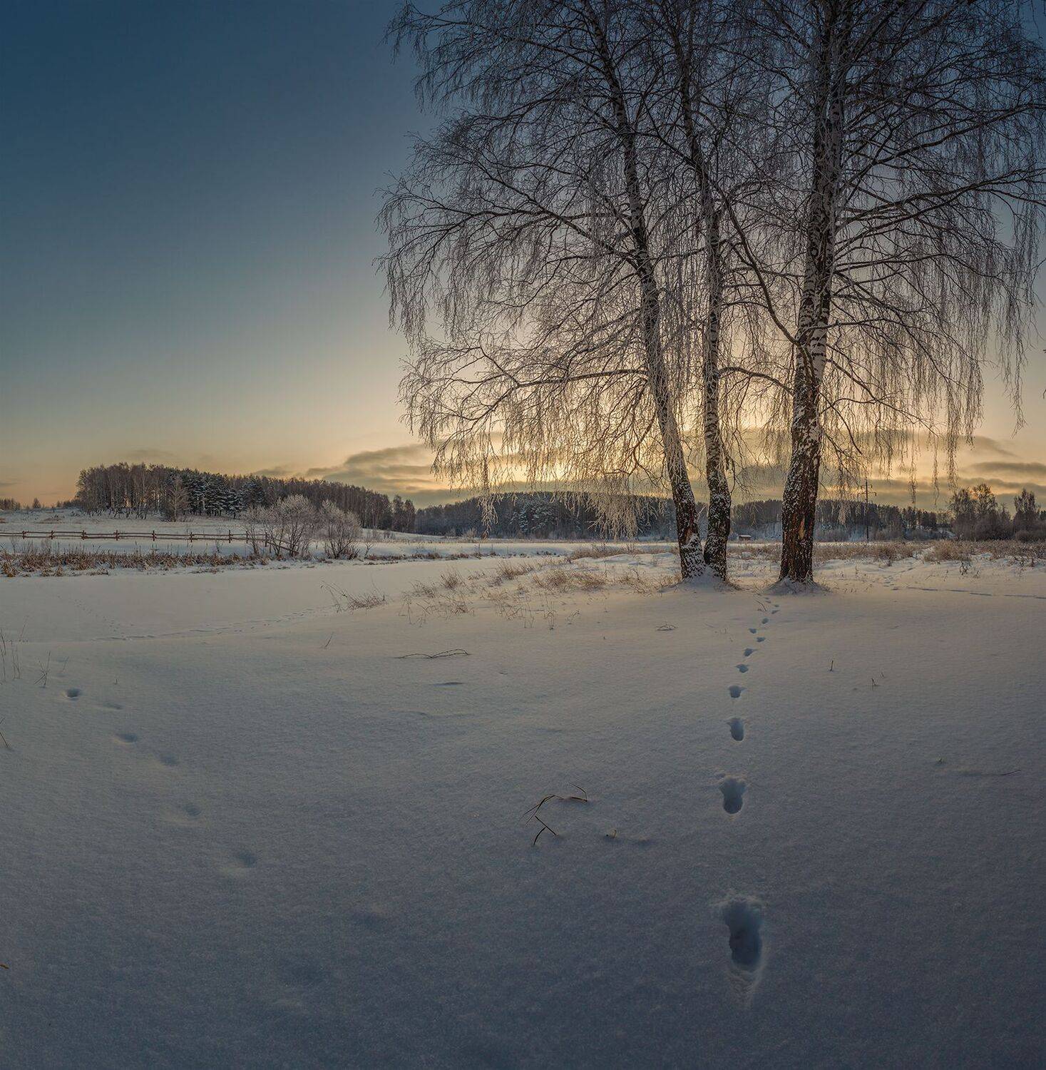 , Андреев Николай