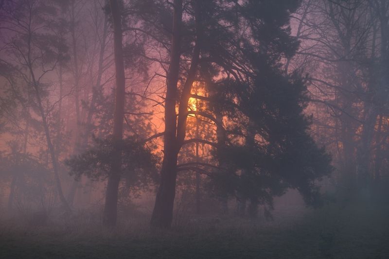 Ночной туман фото превью