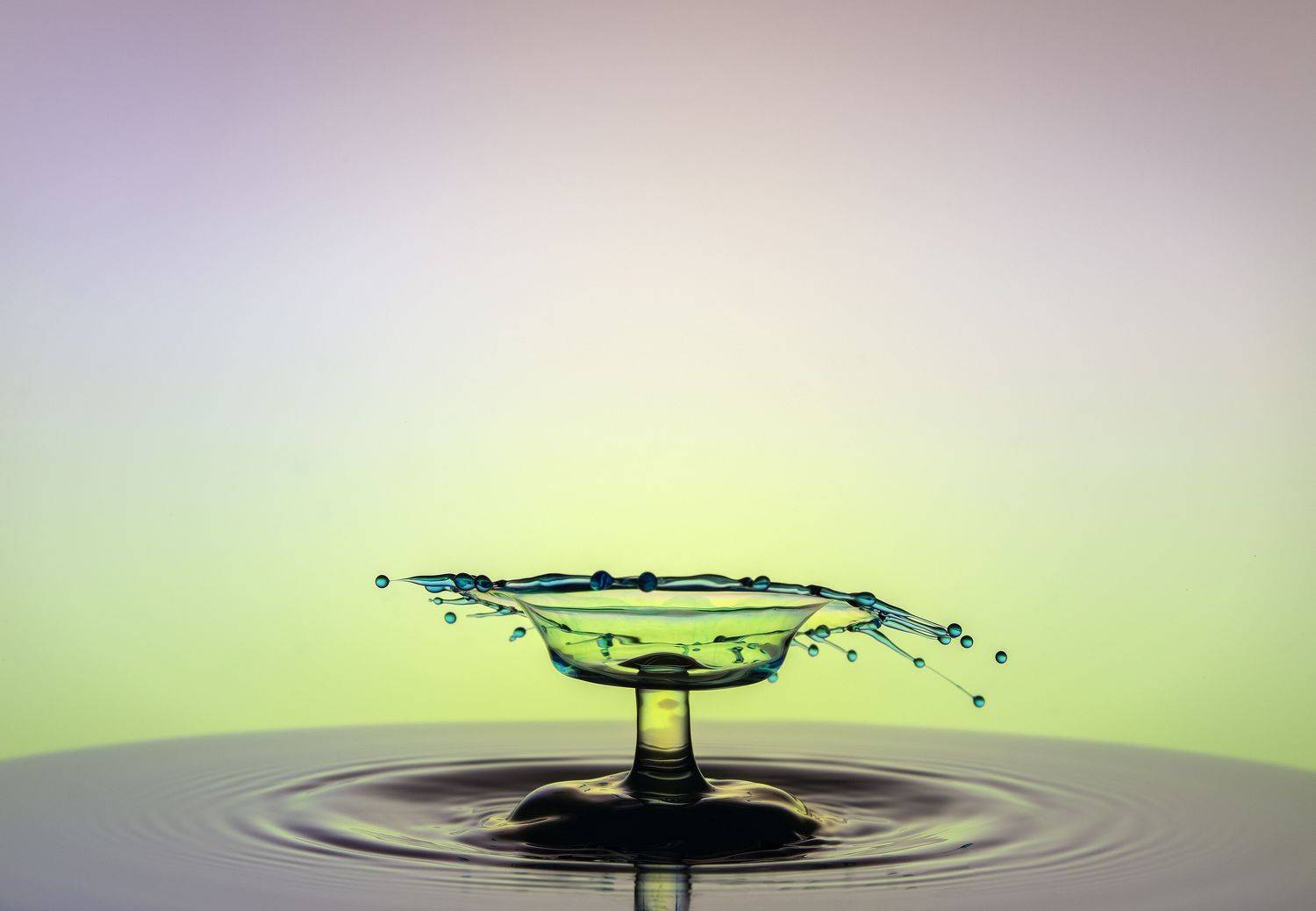 WATER,LIQUID,SPLASH PHOTOGRAPHY,ABSTRACT,TIME STOP,SPEED LIGTH,YOUSEF SAYADI,BLUE,YELLOW,MAGENTA,LIQUID ART,ABSTRACT ART,DROPS,MACRO,REFLECTIVE,HIGH SPEED PHOTOGRAPHY, Sayadi Yousef
