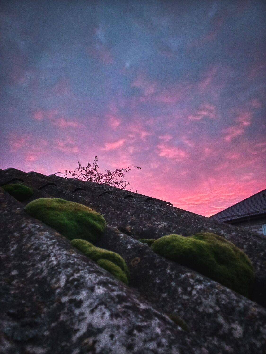 , Епифанов Влад