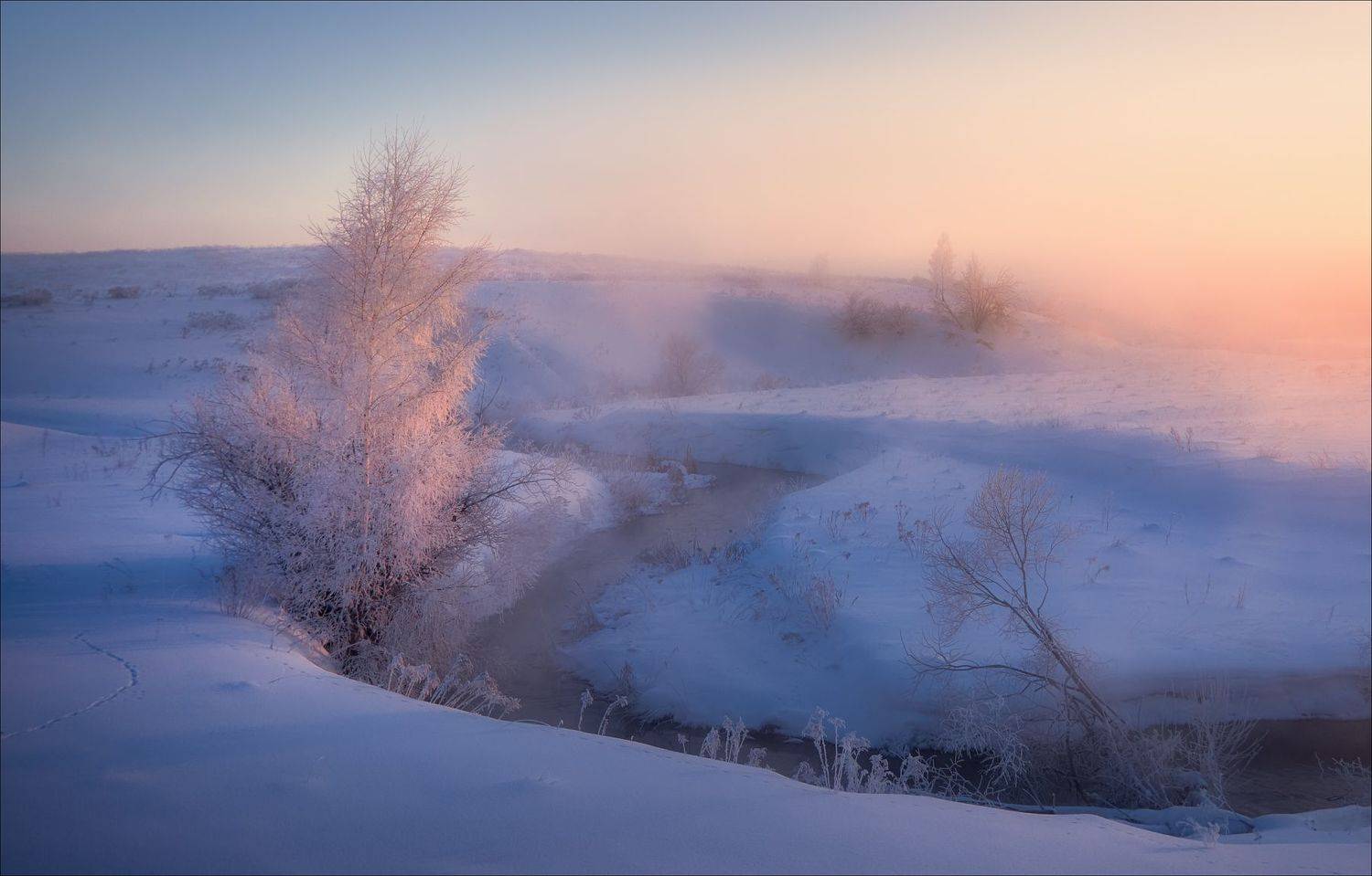 , Богорянов Алексей