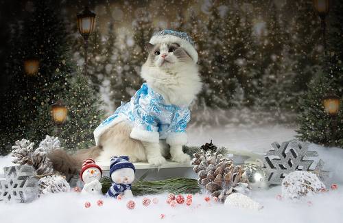 Матильда. Снегурочку - вызывали? Happy New Year!
