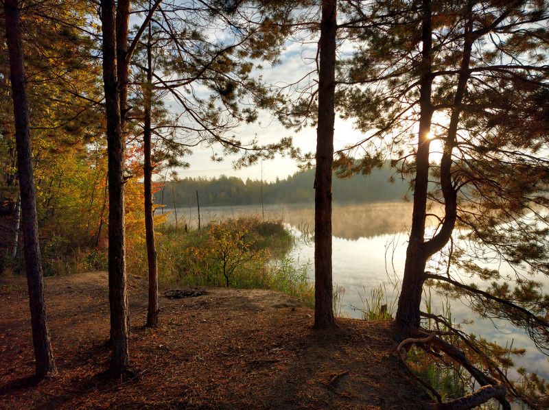 осень, природа, карьер, утро, рассвет Золотой рассвет октября. фото превью