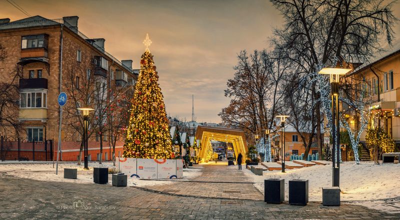 утро, улица, россия, рождество, праздник, пешеходная улица, панорама, новый год,  новогодняя иллюминация, новогодняя ёлка, новогодний город,  зима,  городской пейзаж, город, белгород, архитектура, live for the story, canon photo Новогодний Белгород фото превью