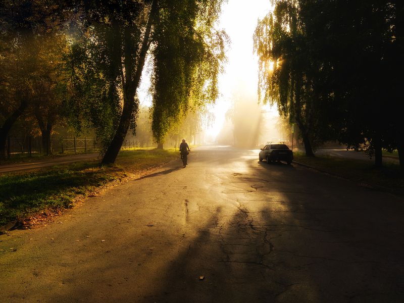 Тёплым утром фото превью