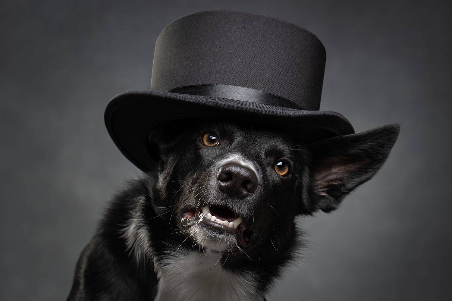 , Светлана Писарева