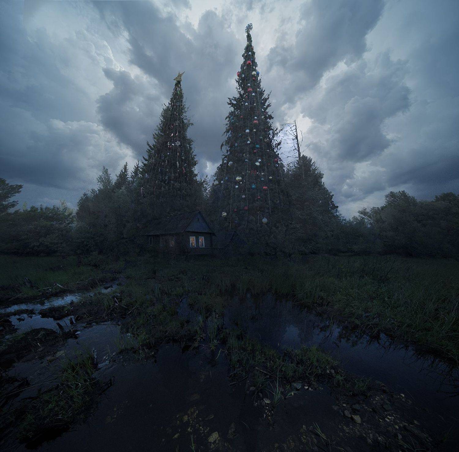 , Дeнис Бoдрoв