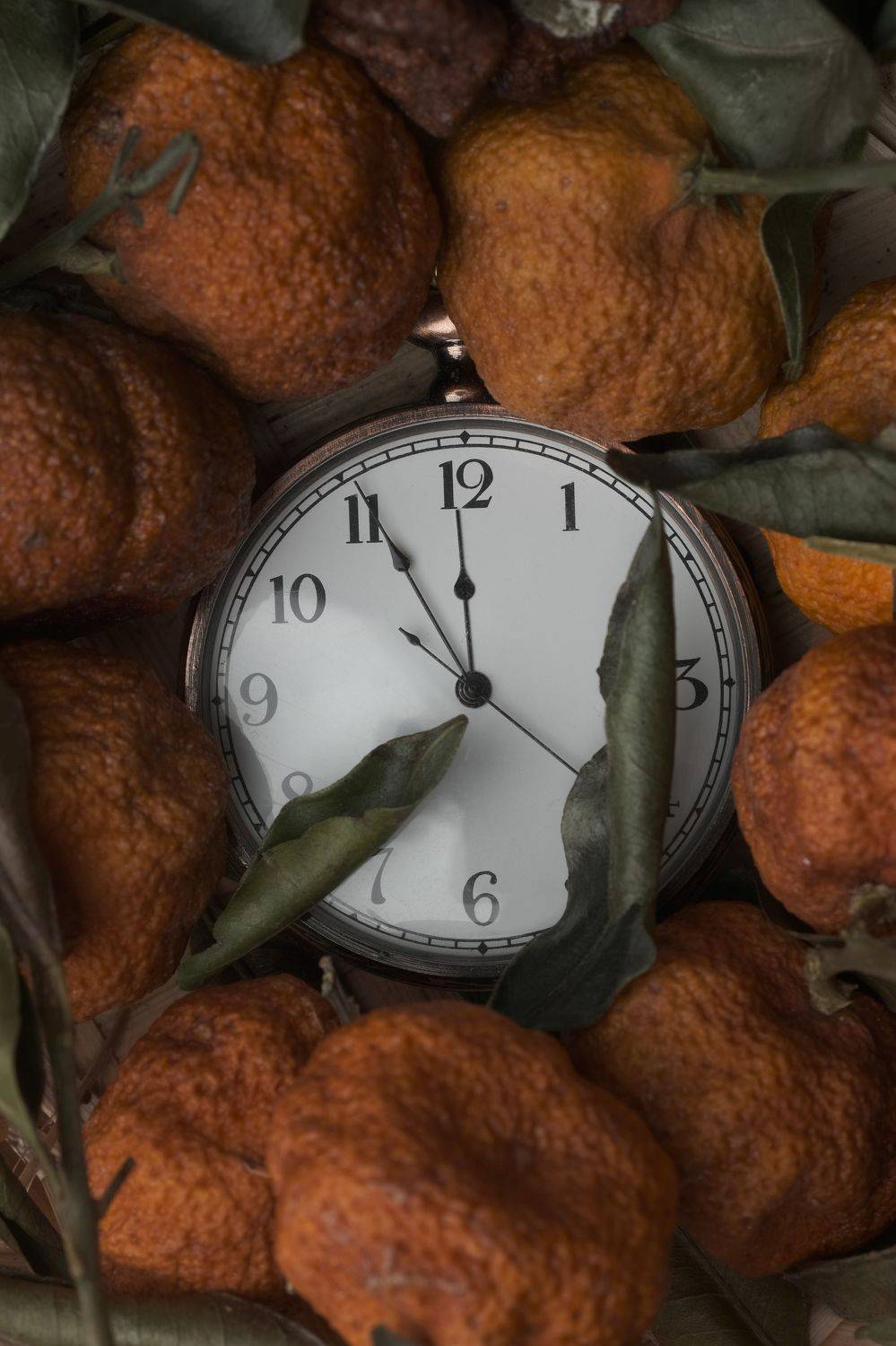 , Тим Мартынов