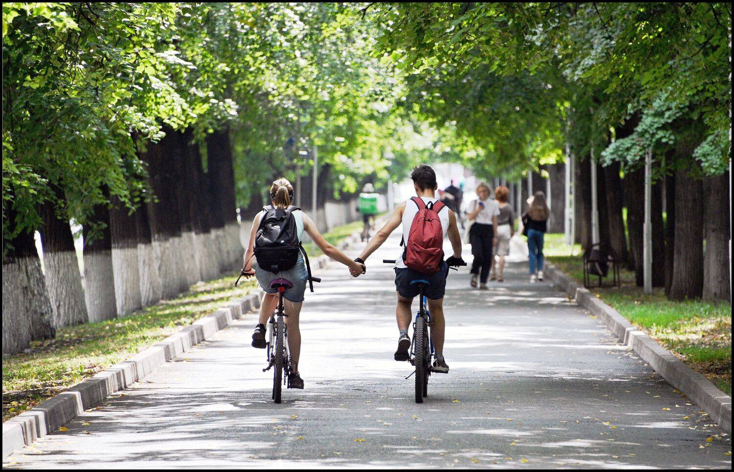 , Меднов Влад