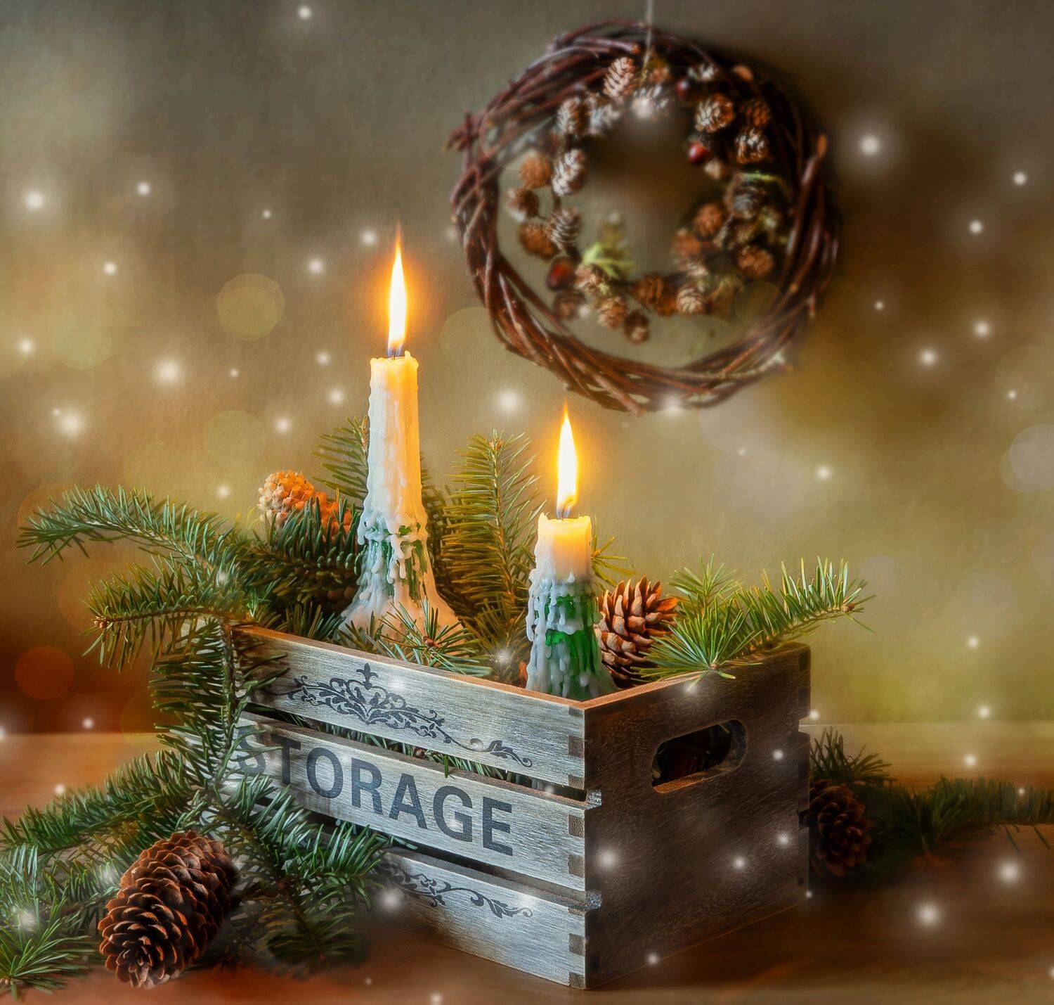 , Тришина Галина