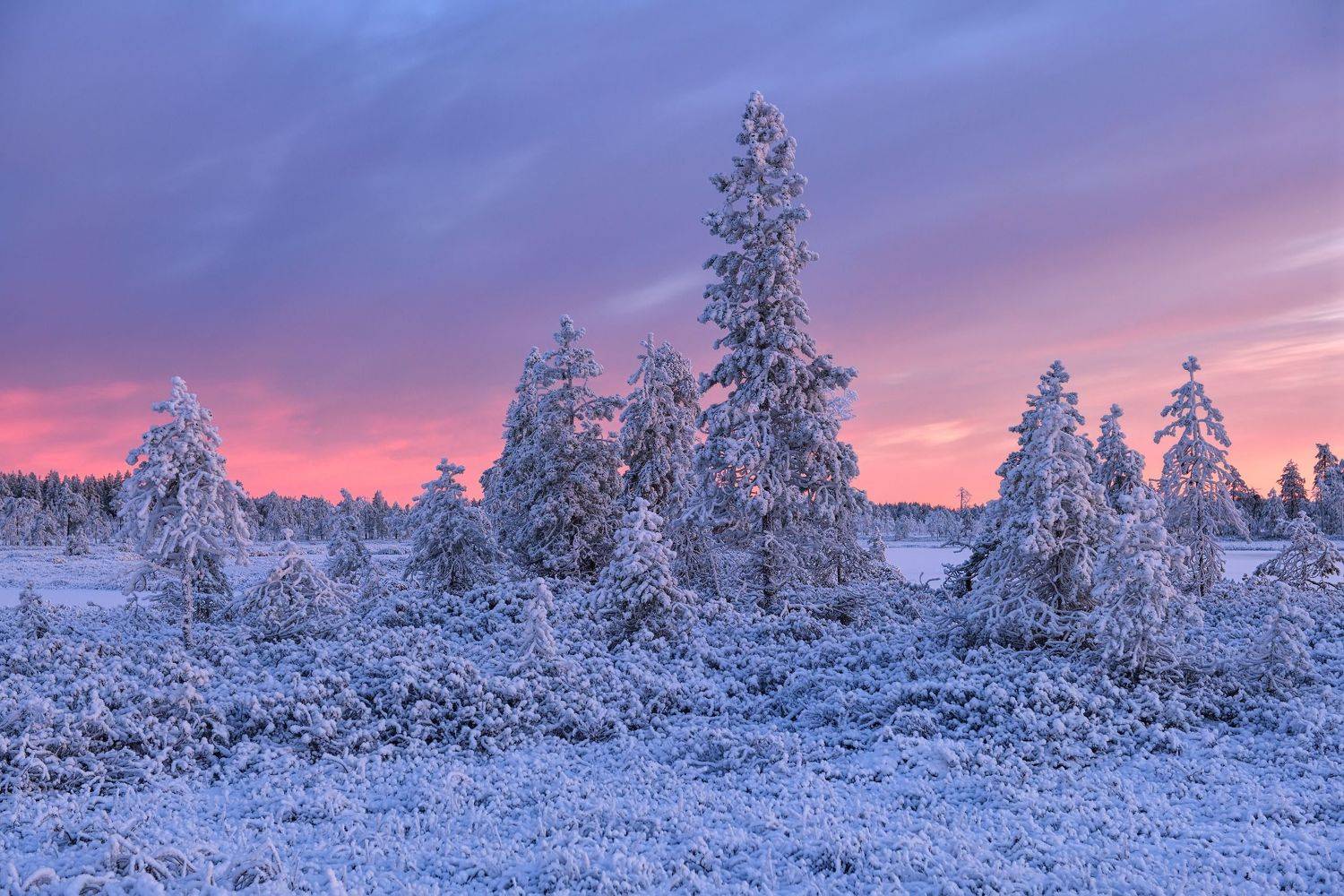 , Максим Евдокимов (phototourtravel.ru)