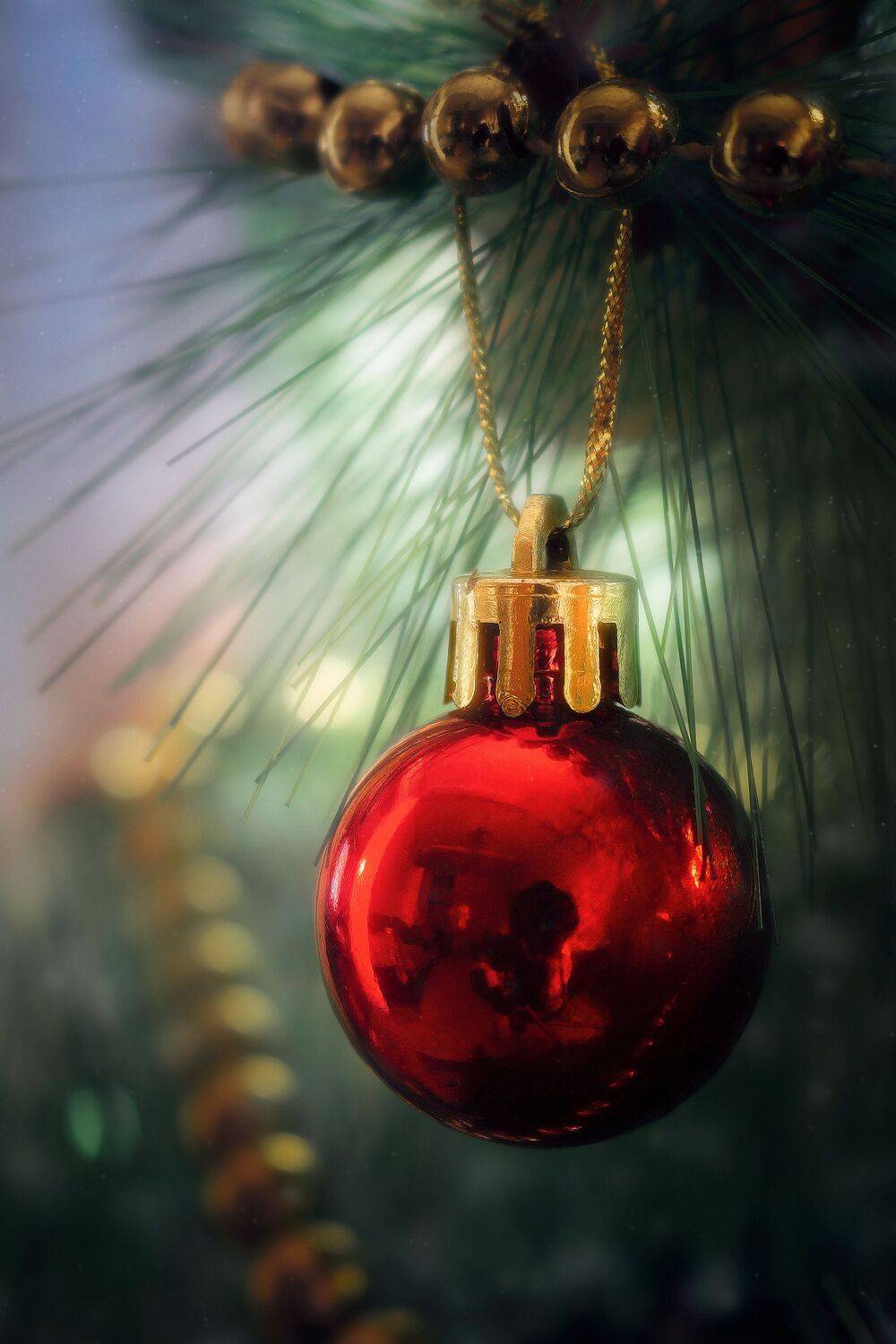 новый, год, праздник, шарик, цвет, красный, ёлка, Еремеев Дмитрий
