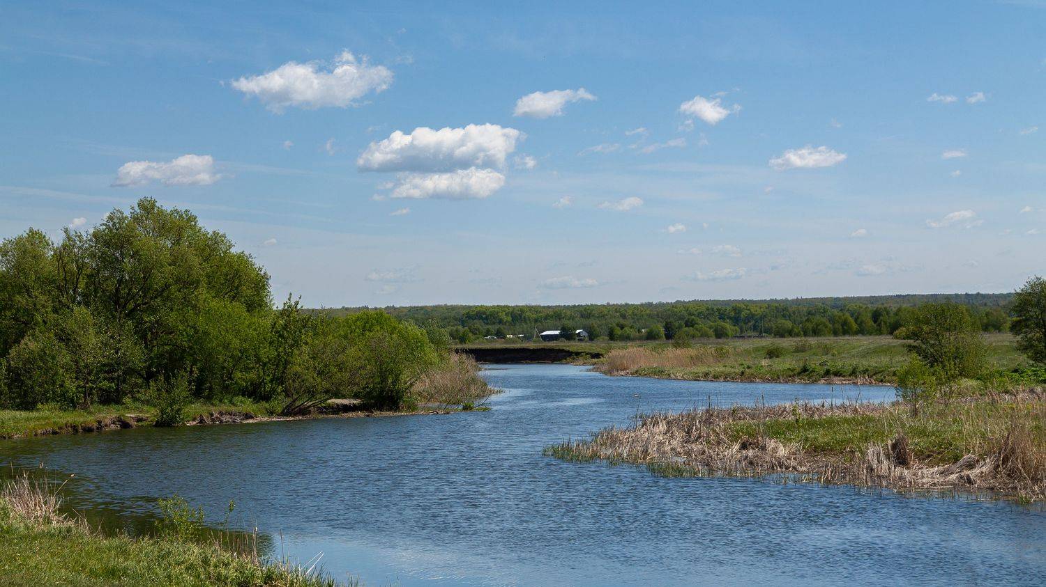 , Елисеев Александр