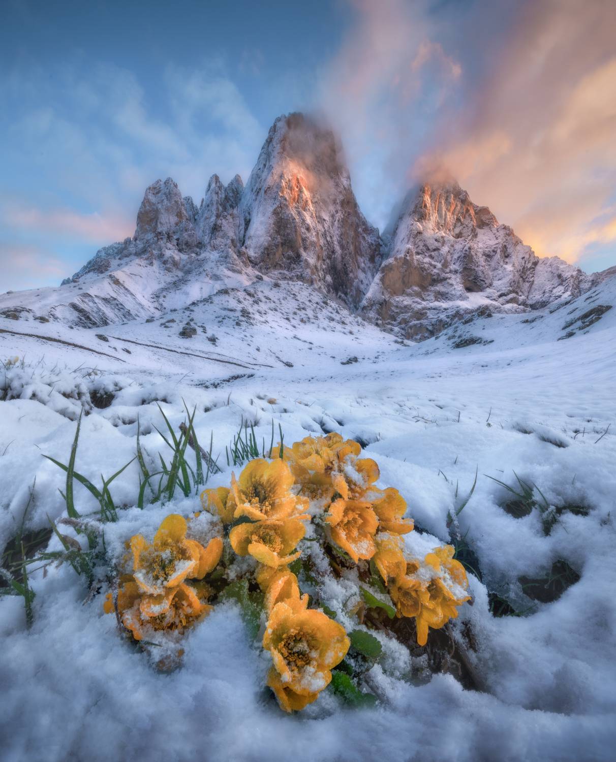 ингушетия, Андрей Грачев