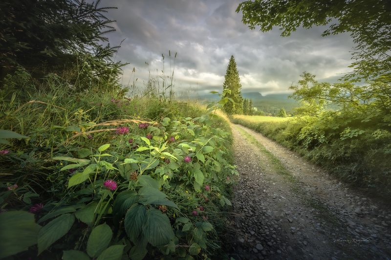 Wspomnienie lata фото превью