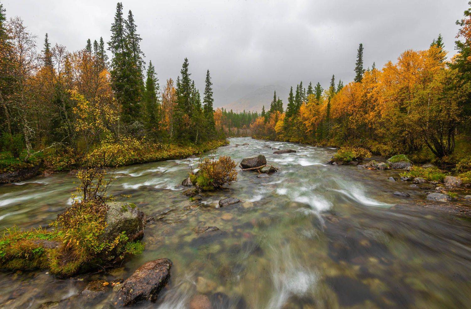, Владимир Брагилевский