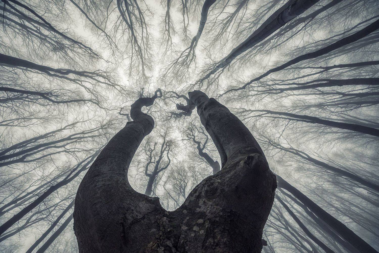 , Костадин Маджаров