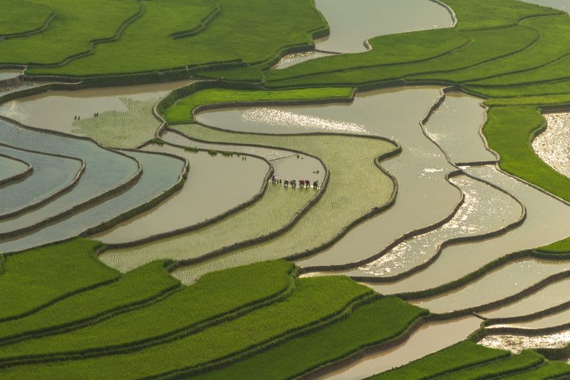 Landscape фото превью