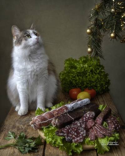 Скорей бы Новый Год!
