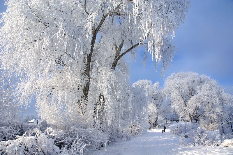 Русская зима. фото превью